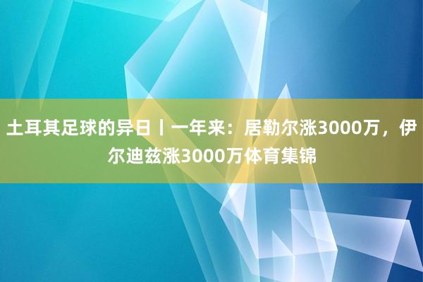 土耳其足球的异日丨一年来：居勒尔涨3000万，伊尔迪兹涨3000万体育集锦