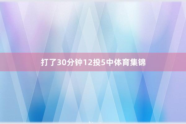 打了30分钟12投5中体育集锦