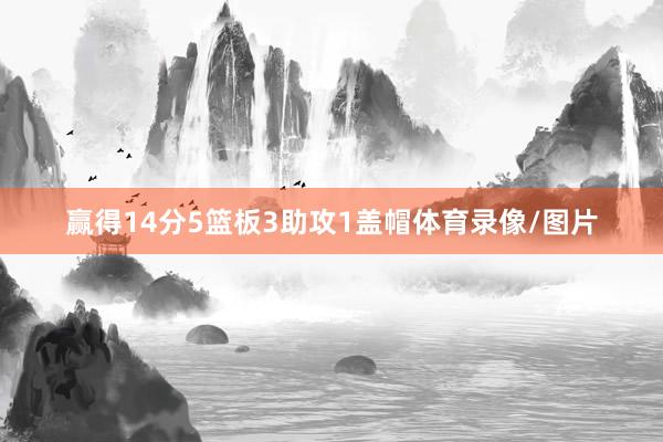 赢得14分5篮板3助攻1盖帽体育录像/图片