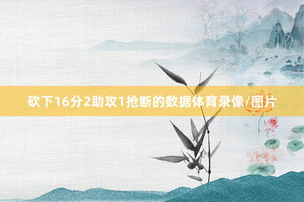 砍下16分2助攻1抢断的数据体育录像/图片